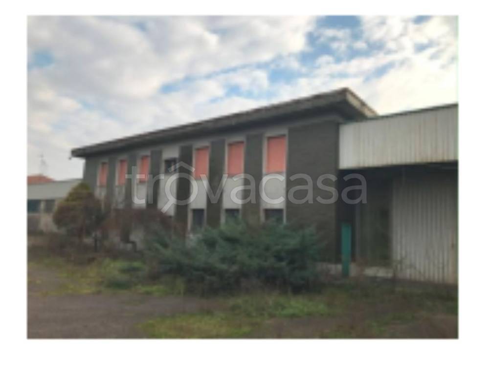 immagine annuncio 1 di 11