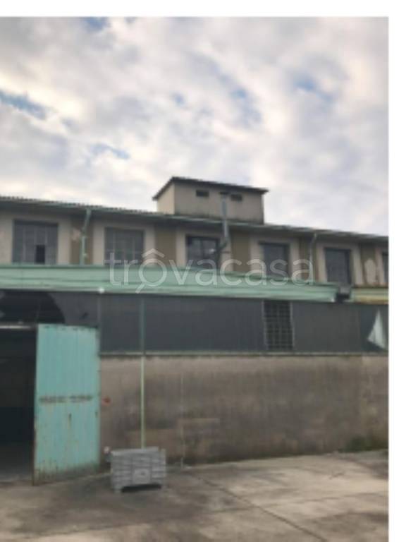 immagine annuncio 2 di 11