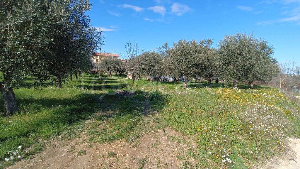 immagine annuncio 1 di 10