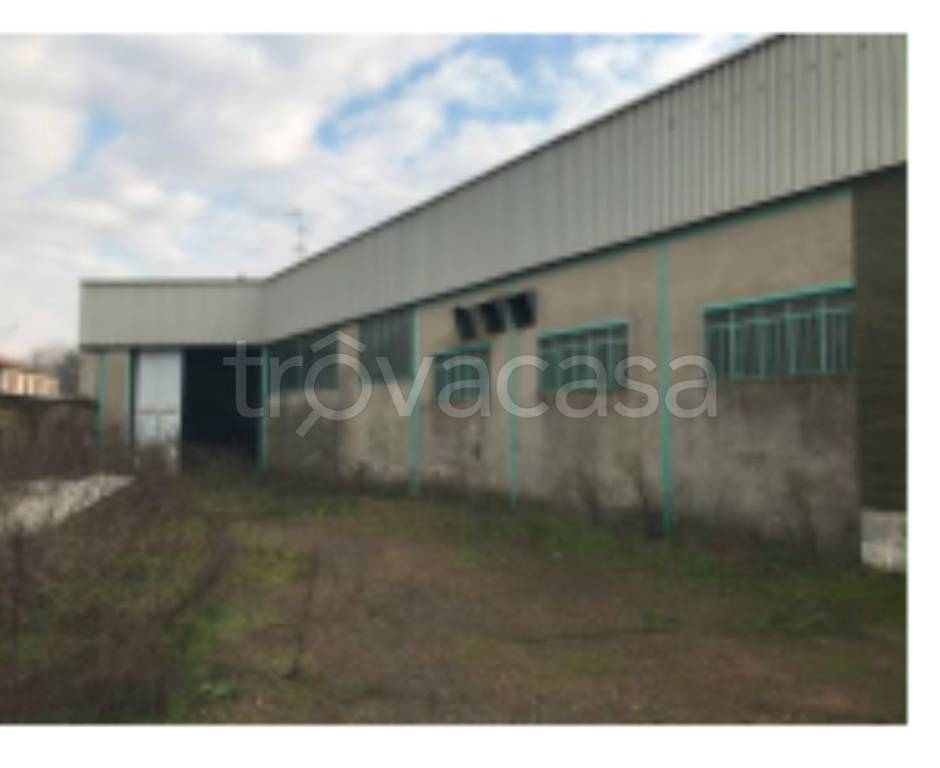 immagine annuncio 3 di 11