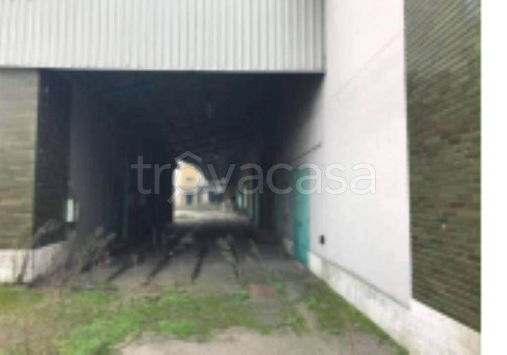 immagine annuncio 4 di 11