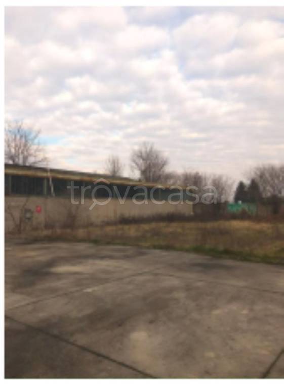 immagine annuncio 5 di 11