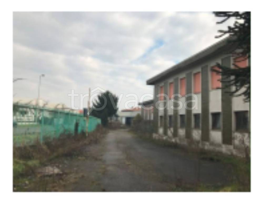 immagine annuncio 7 di 11