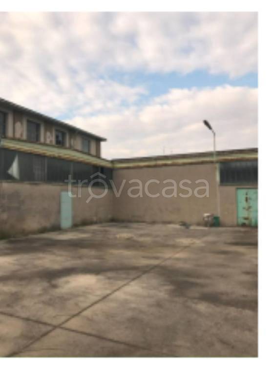 immagine annuncio 8 di 11