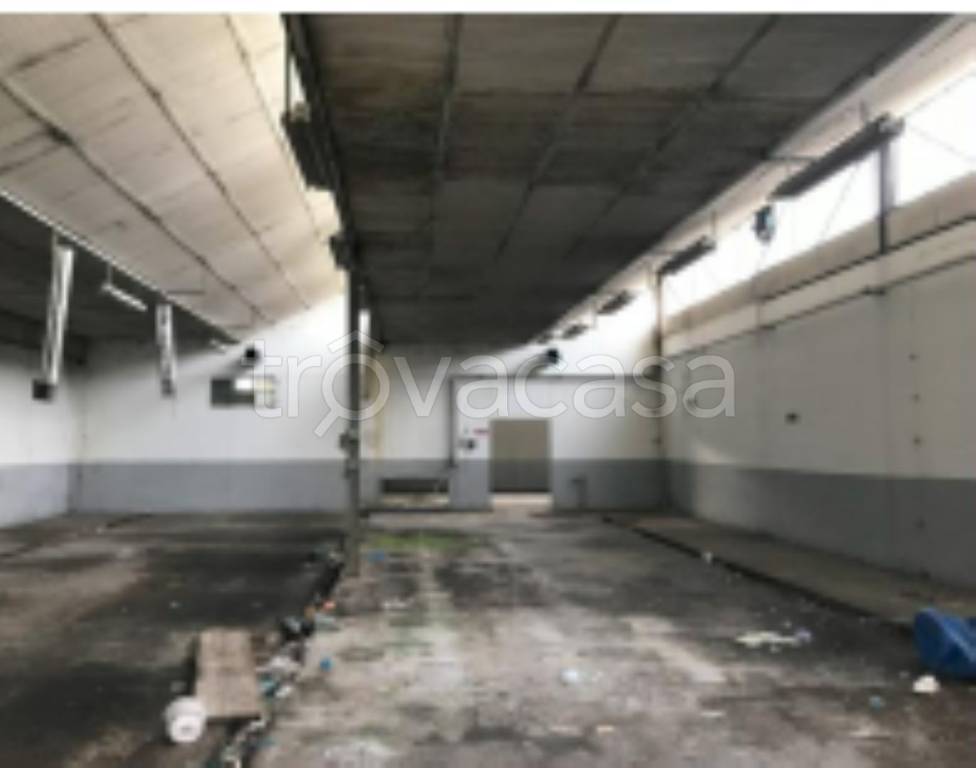 immagine annuncio 9 di 11