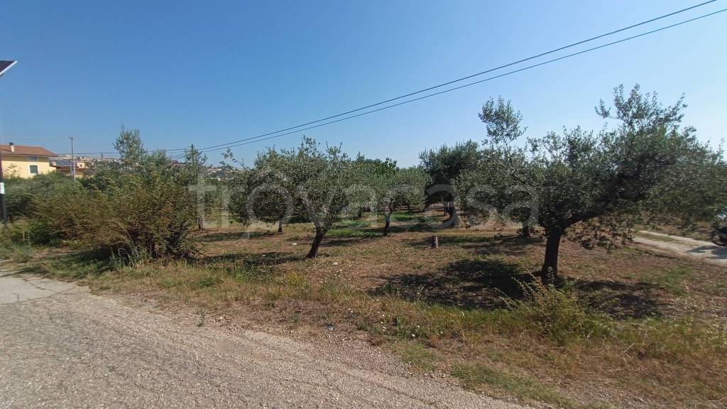 immagine annuncio 7 di 10