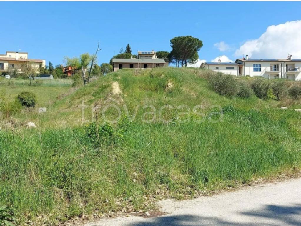 immagine annuncio 2 di 13