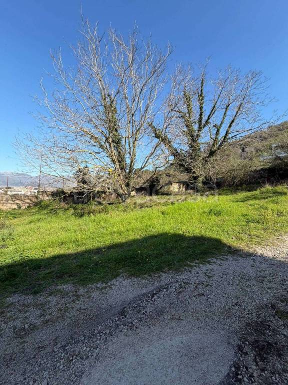 immagine annuncio 1 di 2