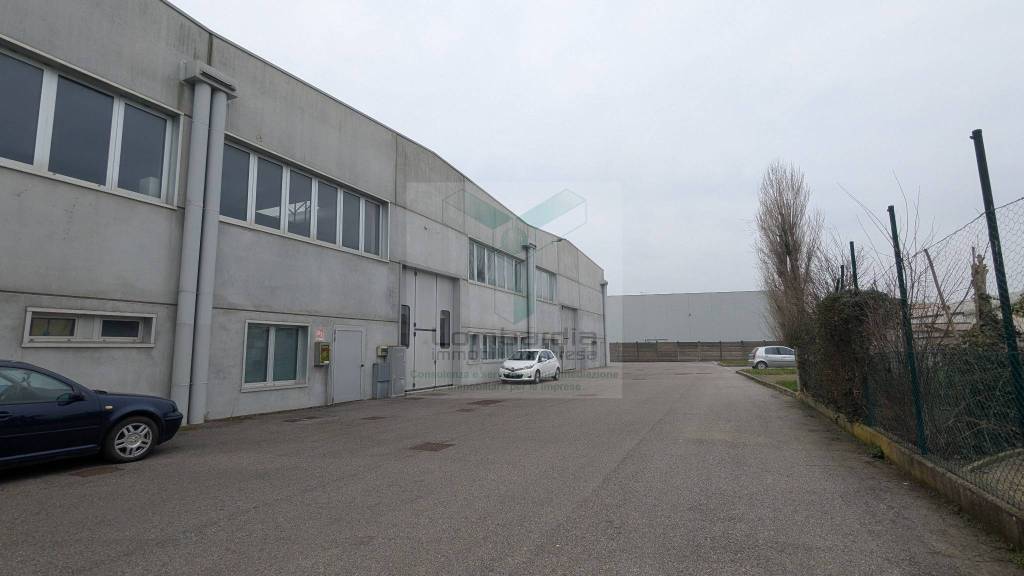 immagine annuncio 6 di 12