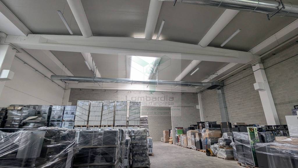 immagine annuncio 8 di 12