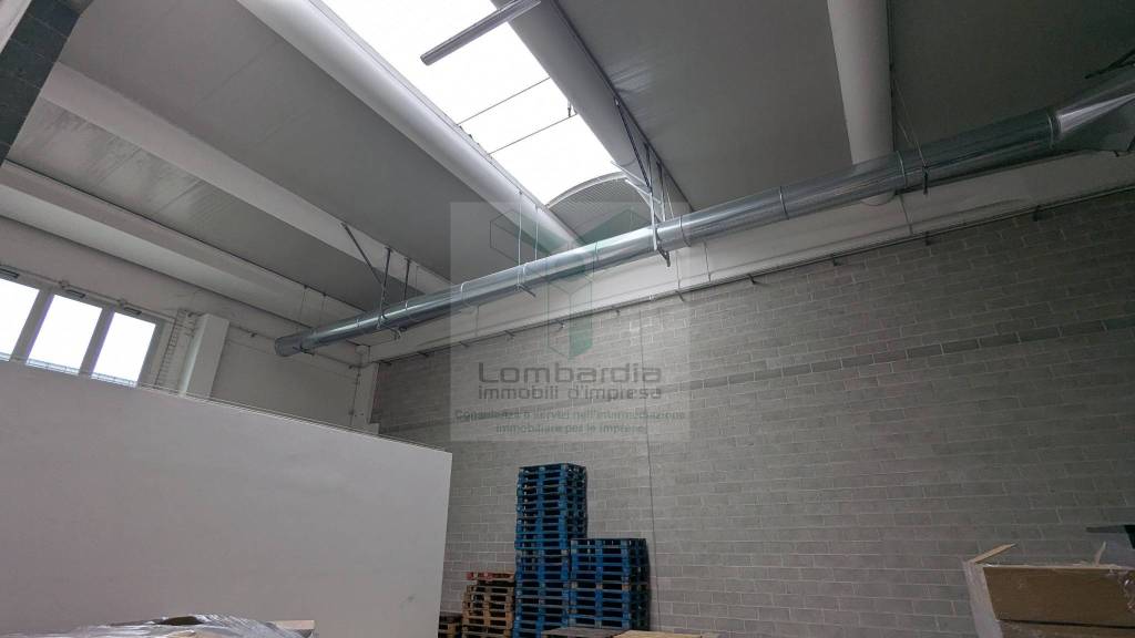 immagine annuncio 9 di 12