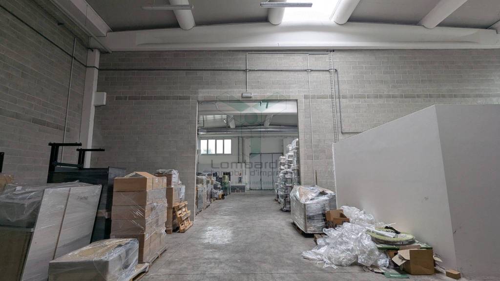 immagine annuncio 3 di 12