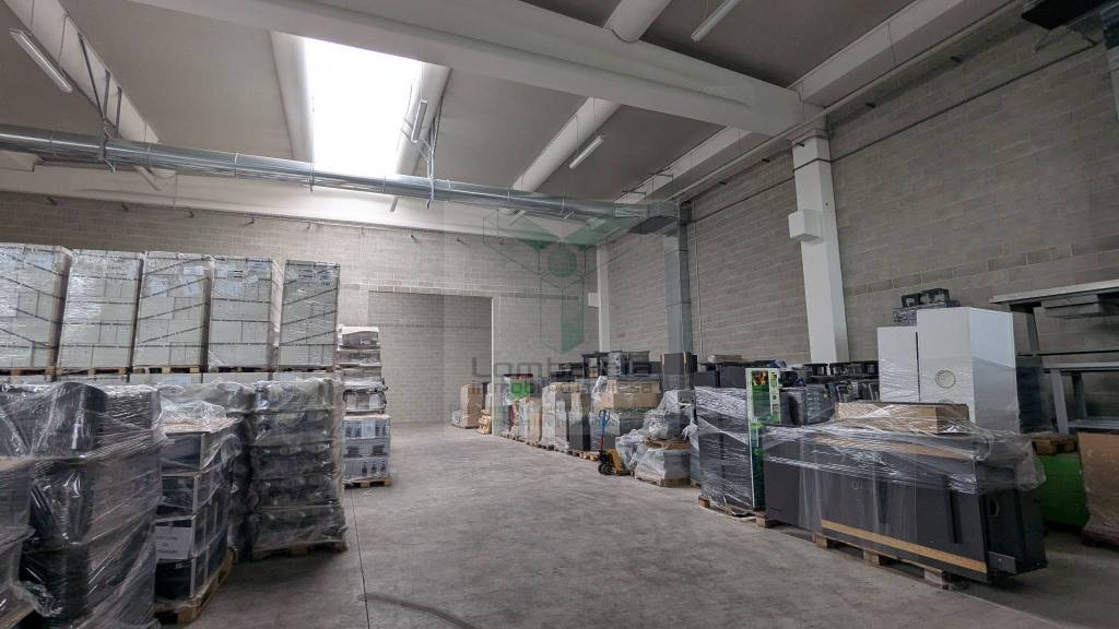 immagine annuncio 2 di 12