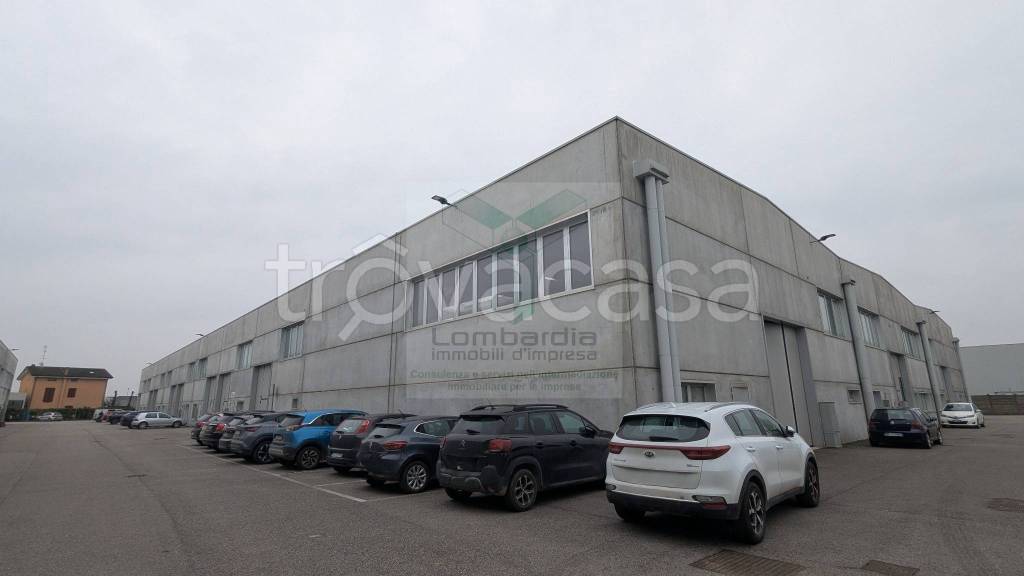 immagine annuncio 5 di 12