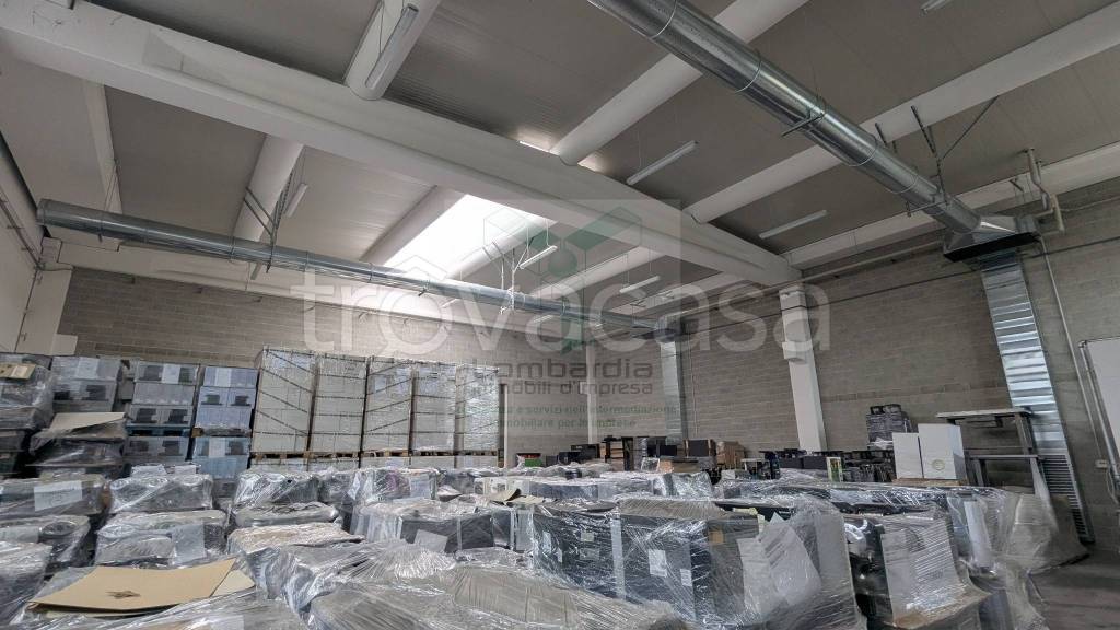 immagine annuncio 10 di 12