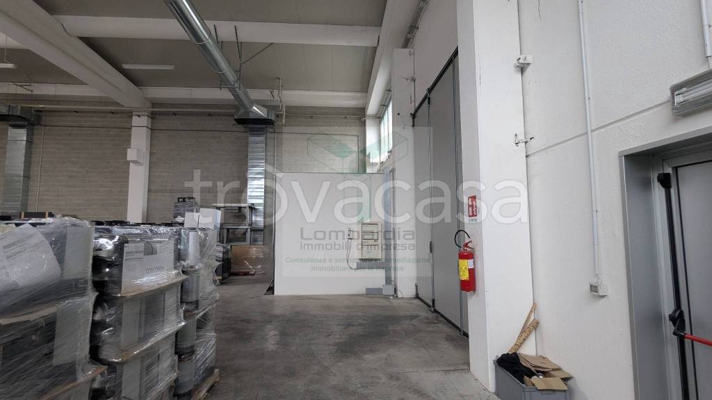 immagine annuncio 11 di 12