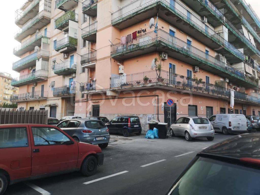 immagine annuncio 9 di 11