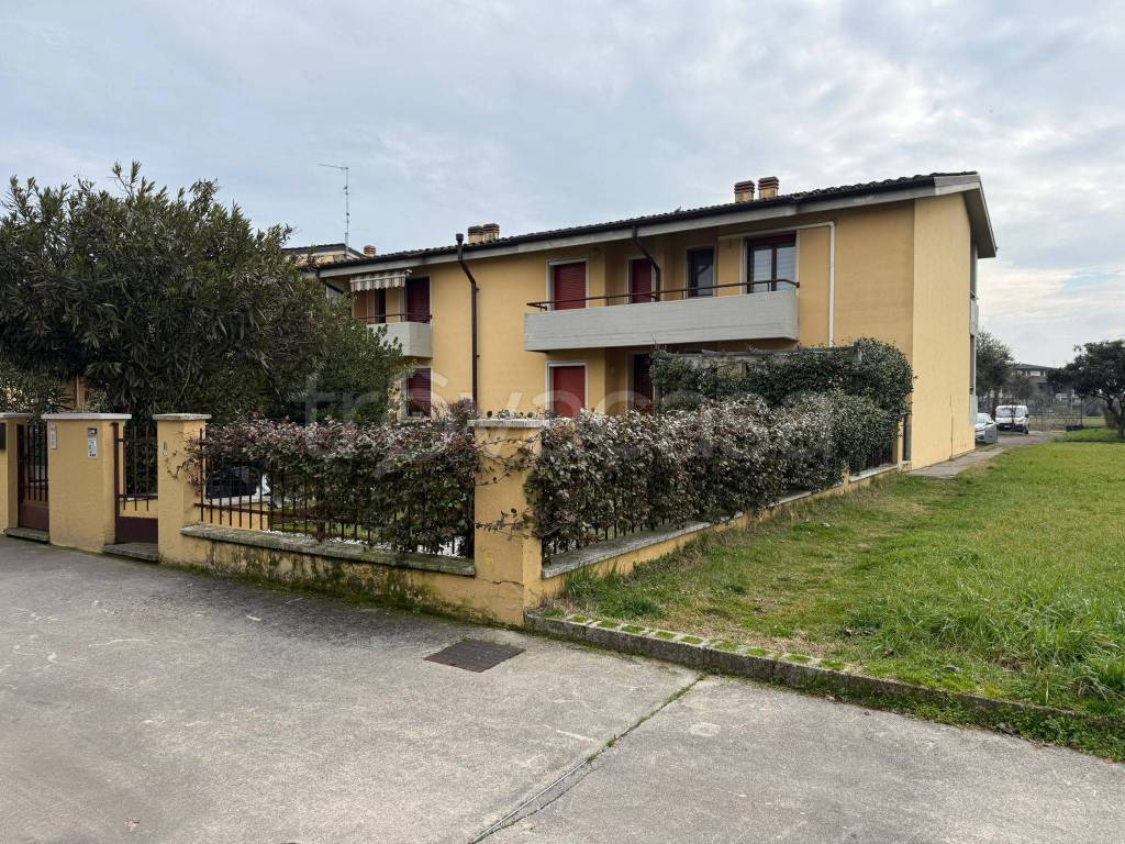 immagine annuncio 2 di 15