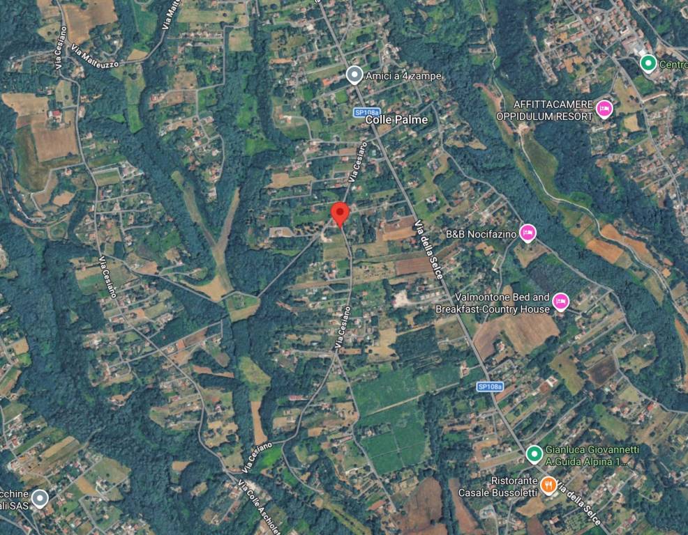 immagine annuncio 9 di 10