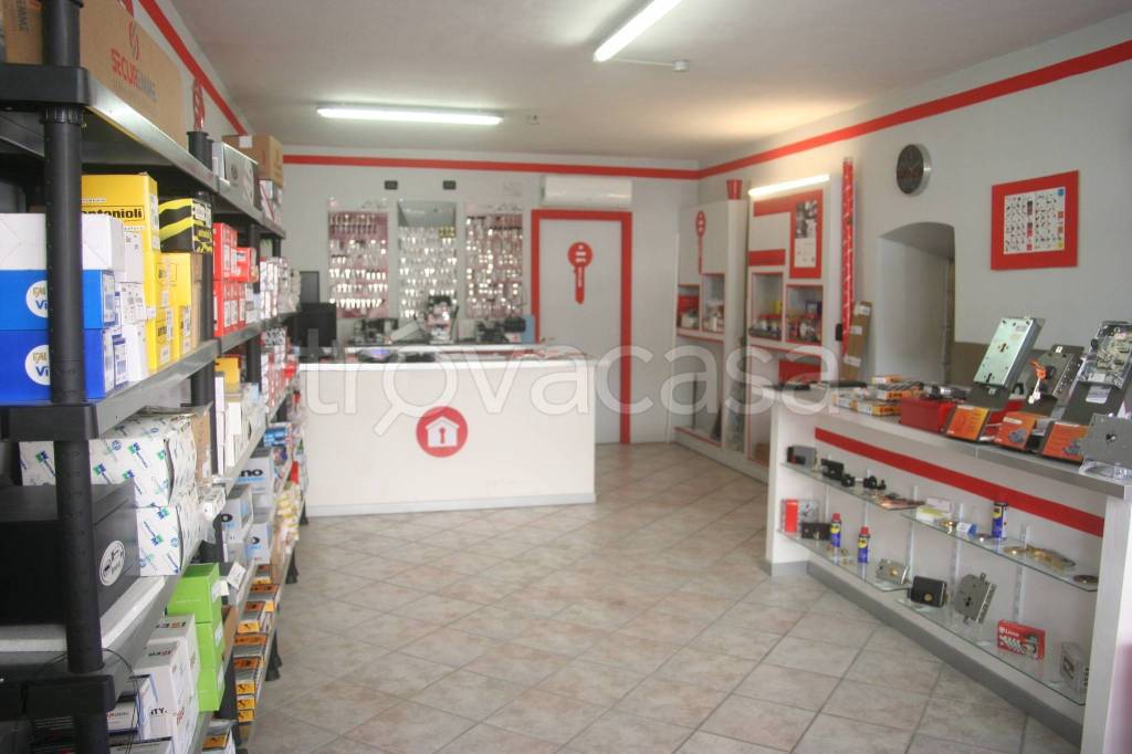 immagine annuncio 2 di 6