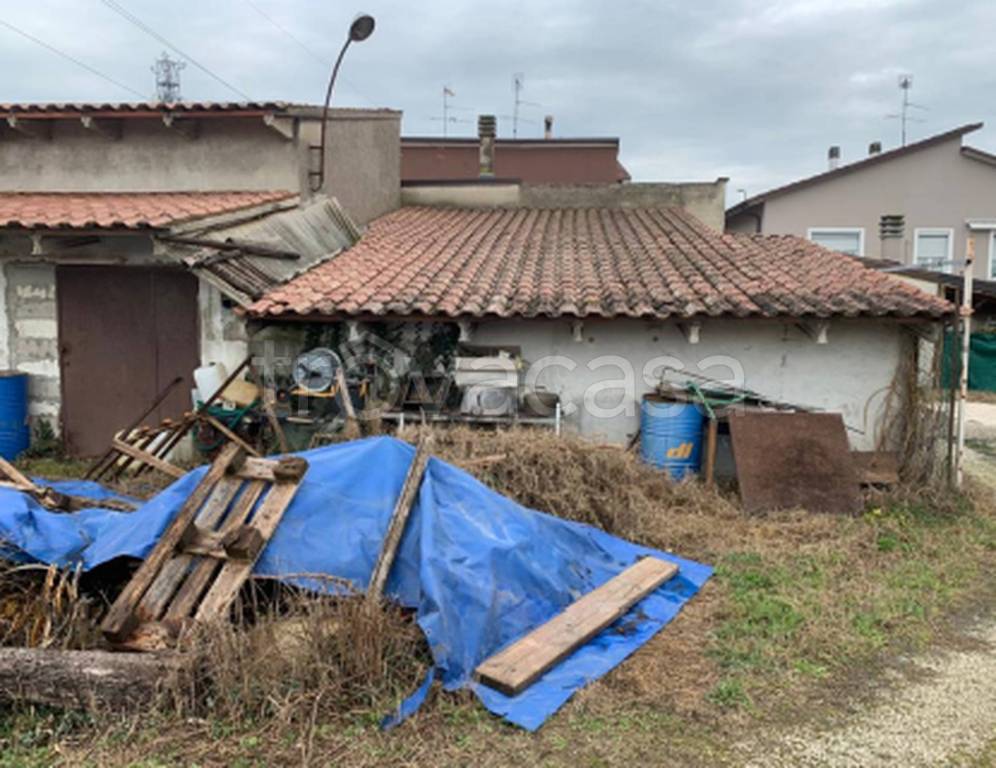 immagine annuncio 7 di 11