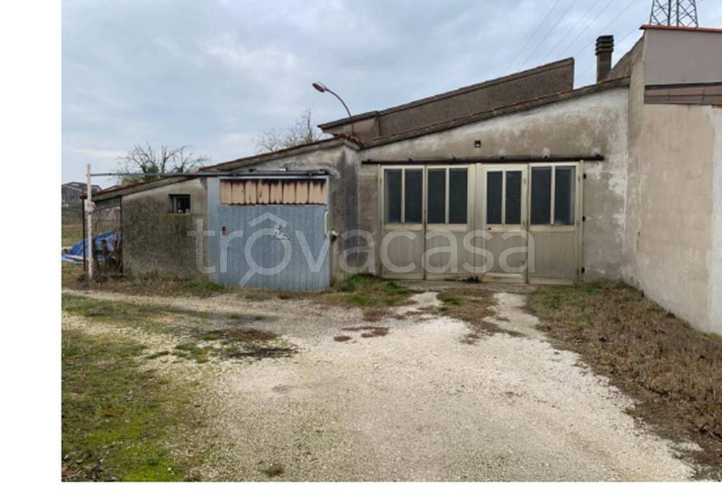immagine annuncio 8 di 11