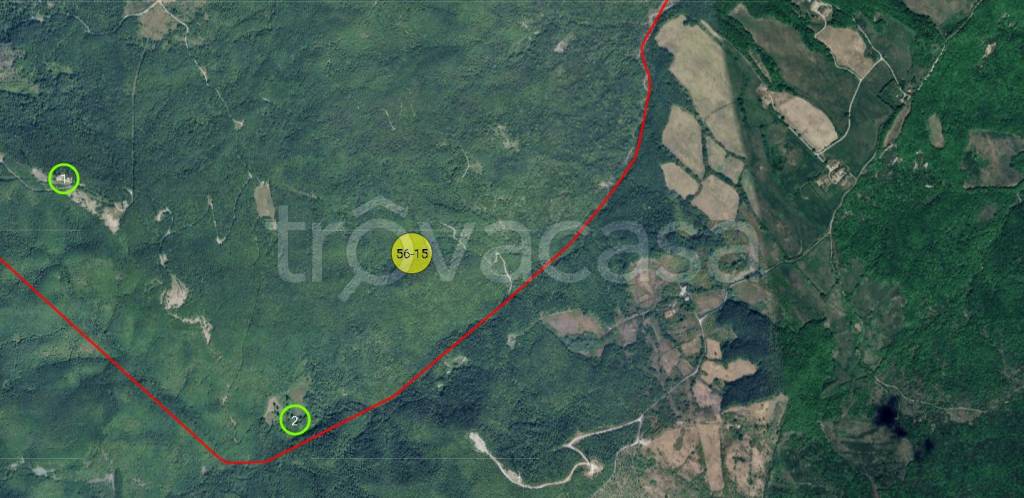 immagine annuncio 10 di 11