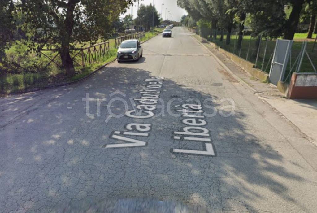 immagine annuncio 11 di 14