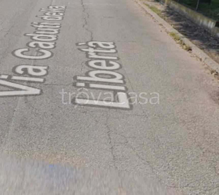 immagine annuncio 12 di 14