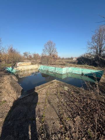 immagine annuncio 13 di 14