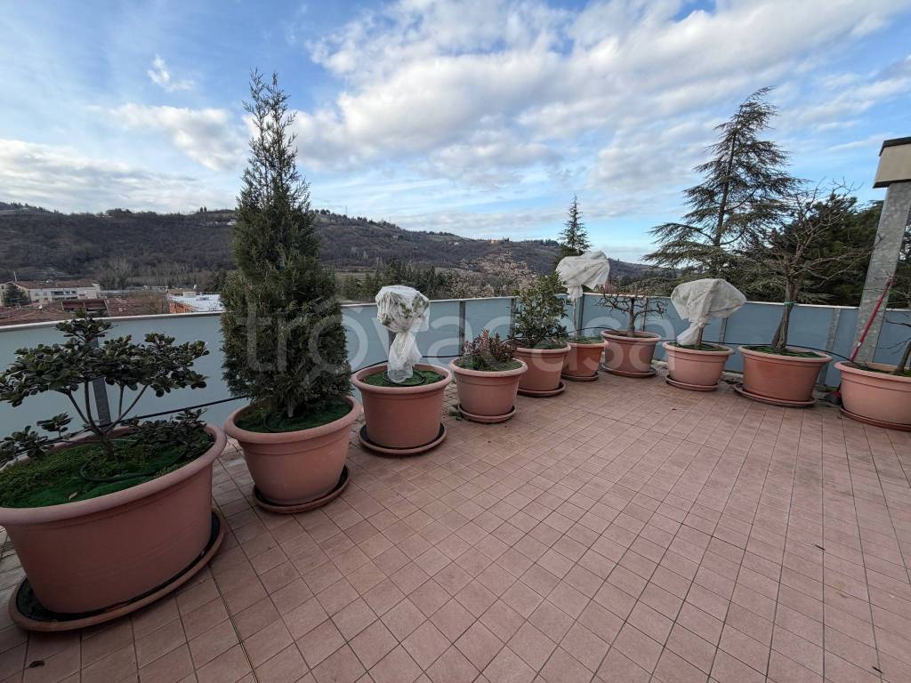 immagine annuncio 10 di 14