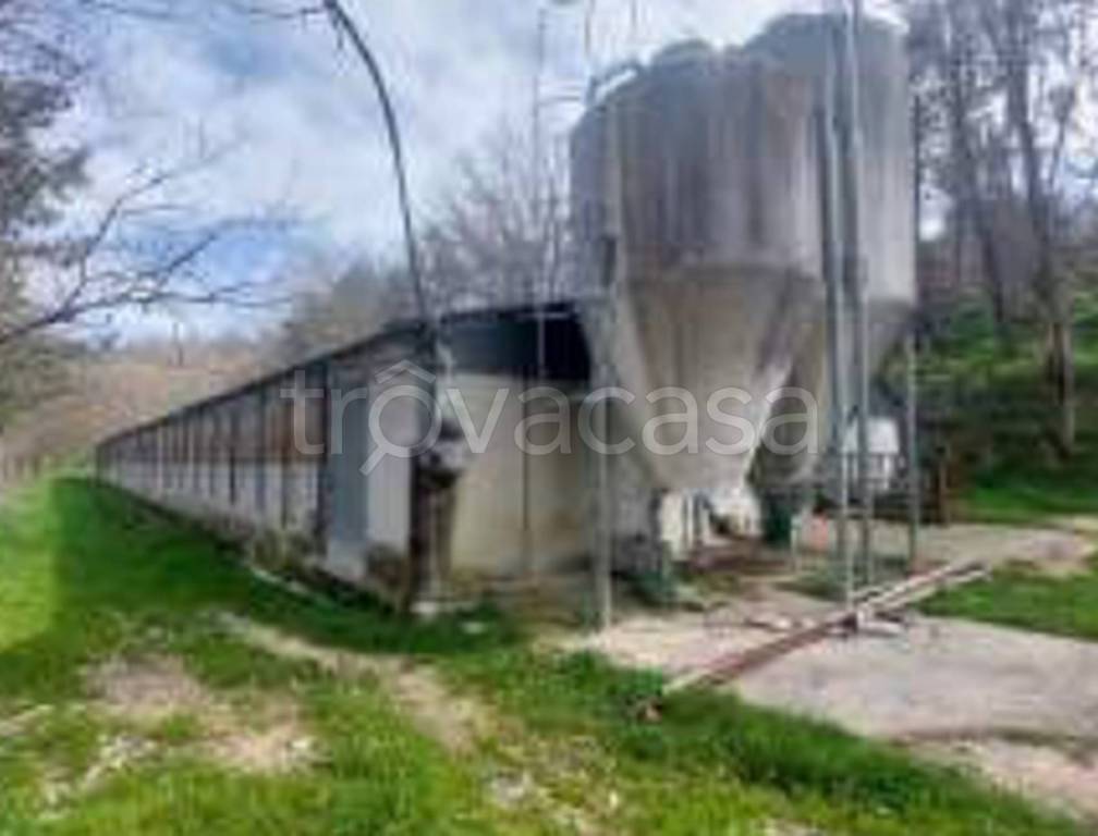 immagine annuncio 7 di 11