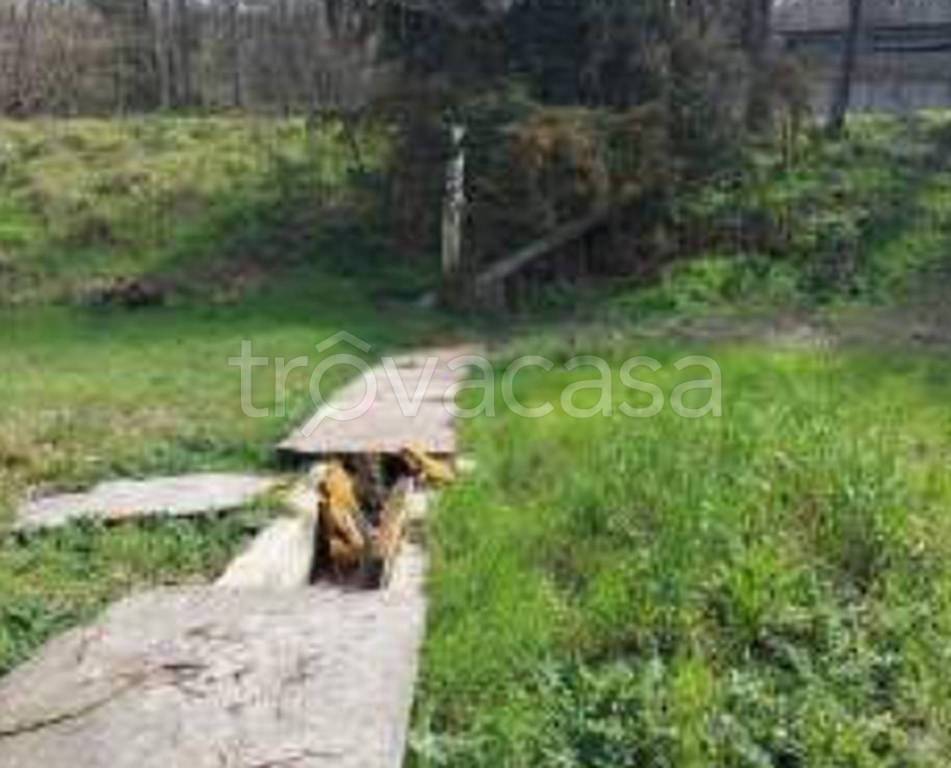 immagine annuncio 10 di 11