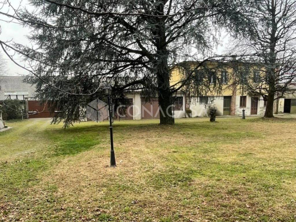 immagine annuncio 11 di 15