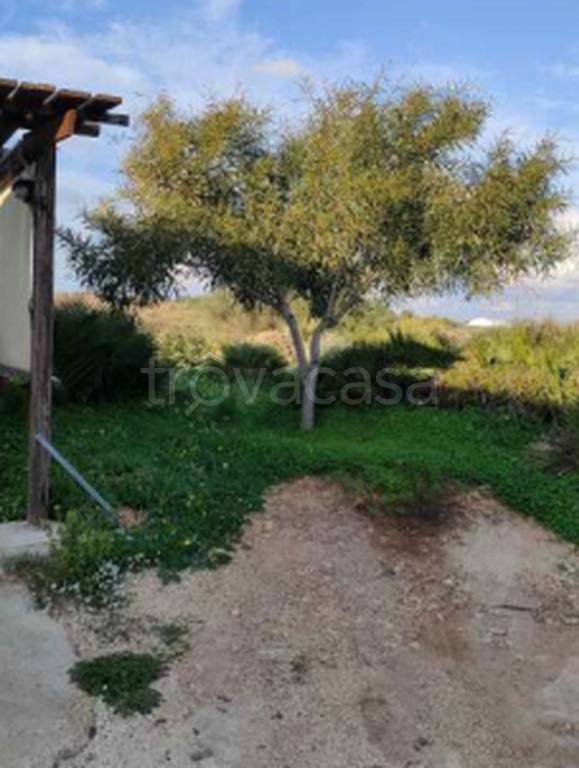 immagine annuncio 8 di 9