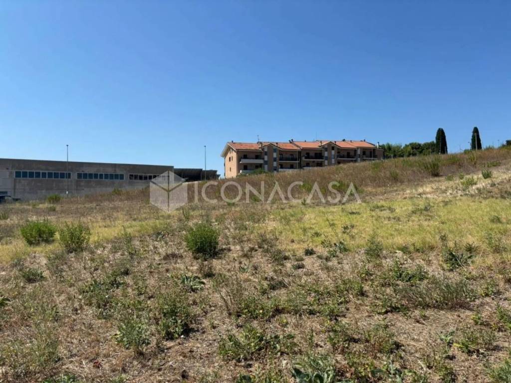 immagine annuncio 2 di 4