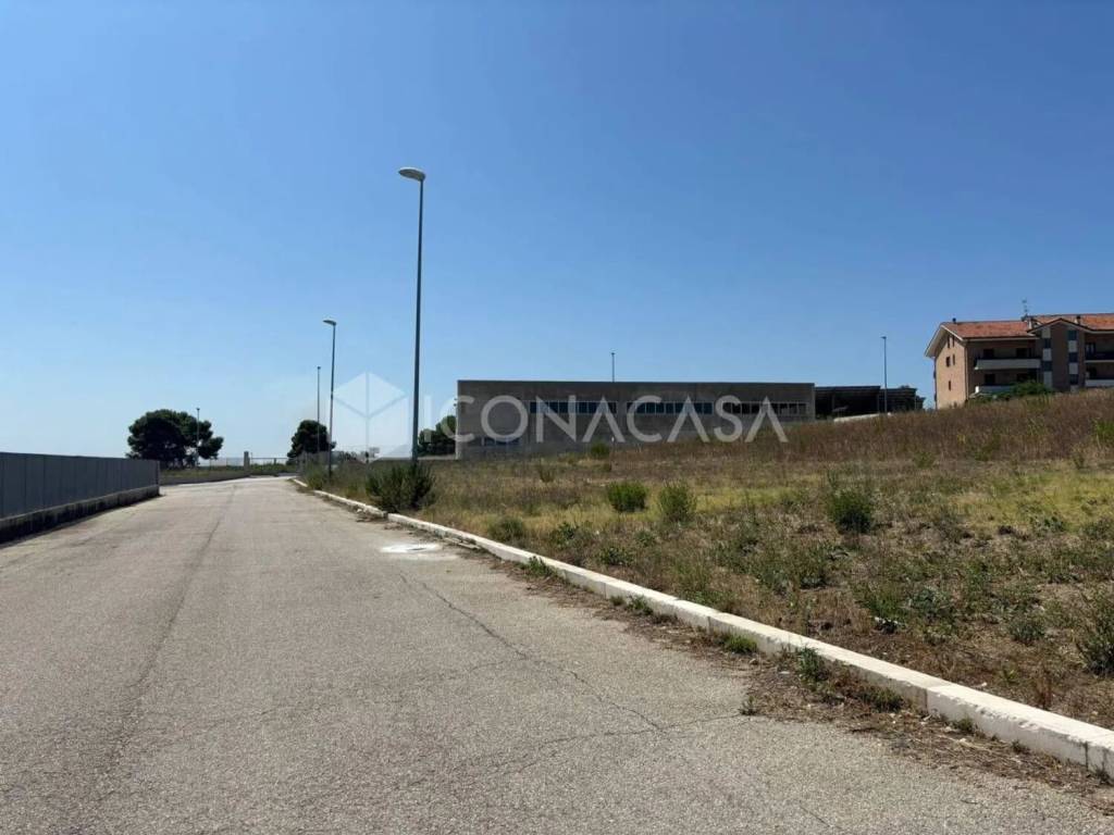 immagine annuncio 3 di 4