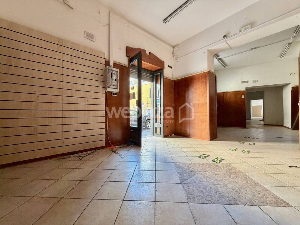 immagine annuncio 3 di 14