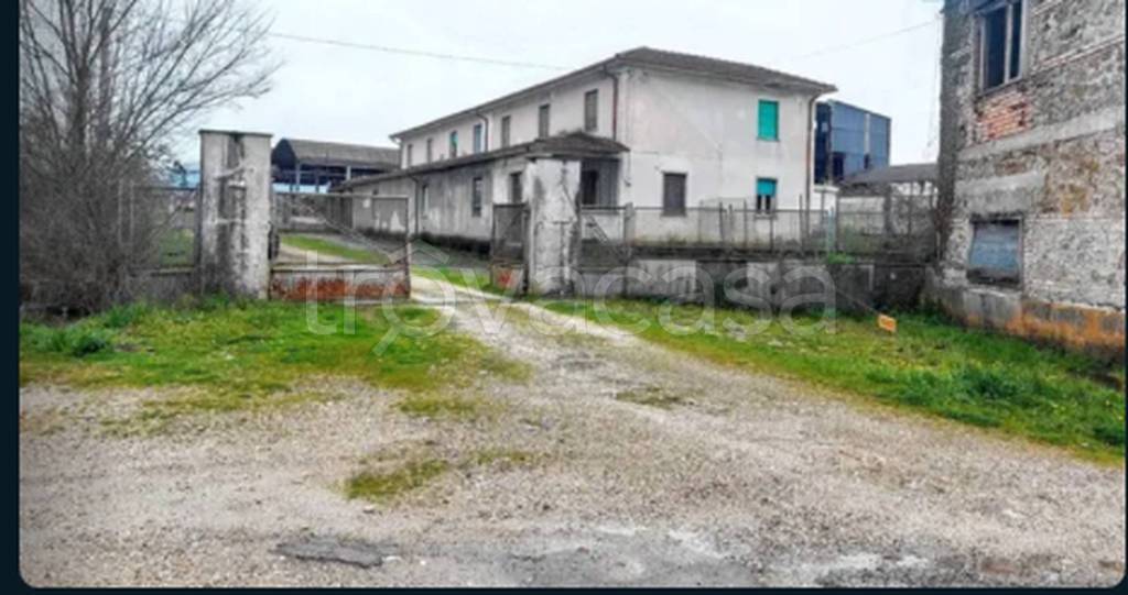 immagine annuncio 2 di 12