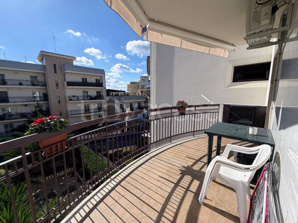 immagine annuncio 11 di 14