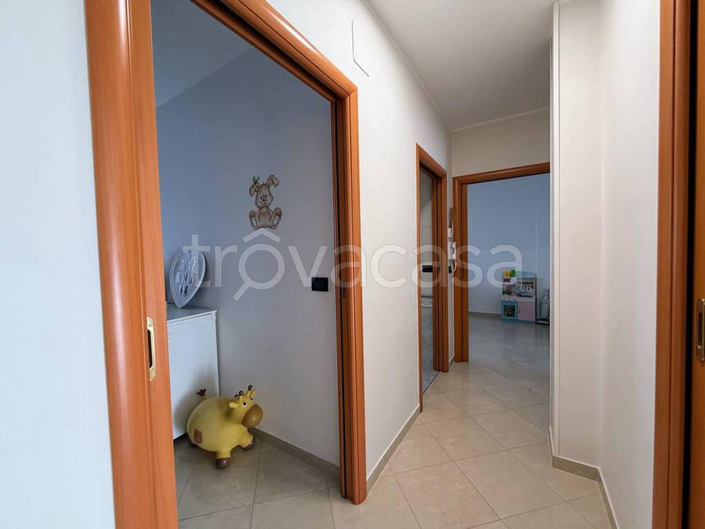 immagine annuncio 5 di 14