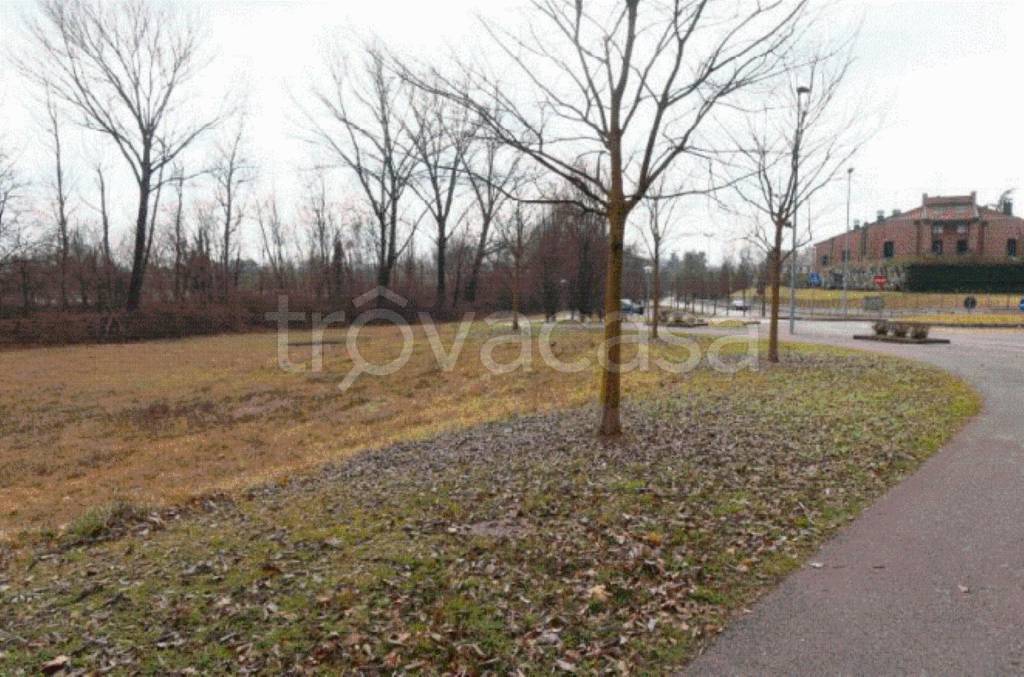 immagine annuncio 2 di 8