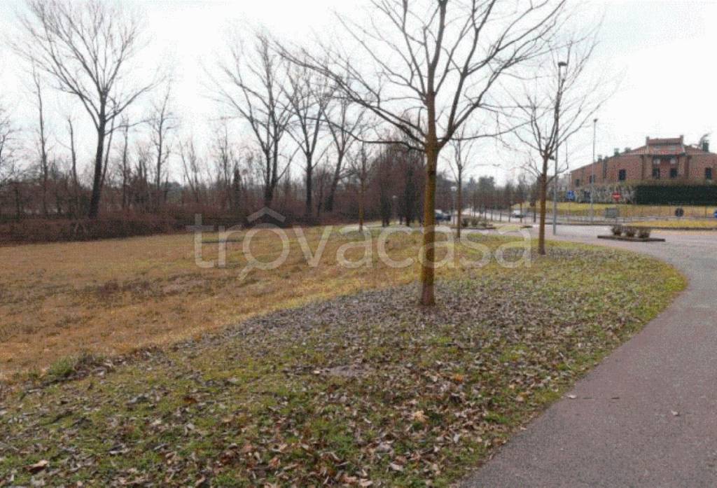 immagine annuncio 4 di 8