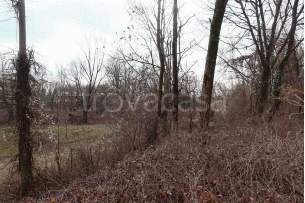 immagine annuncio 5 di 8