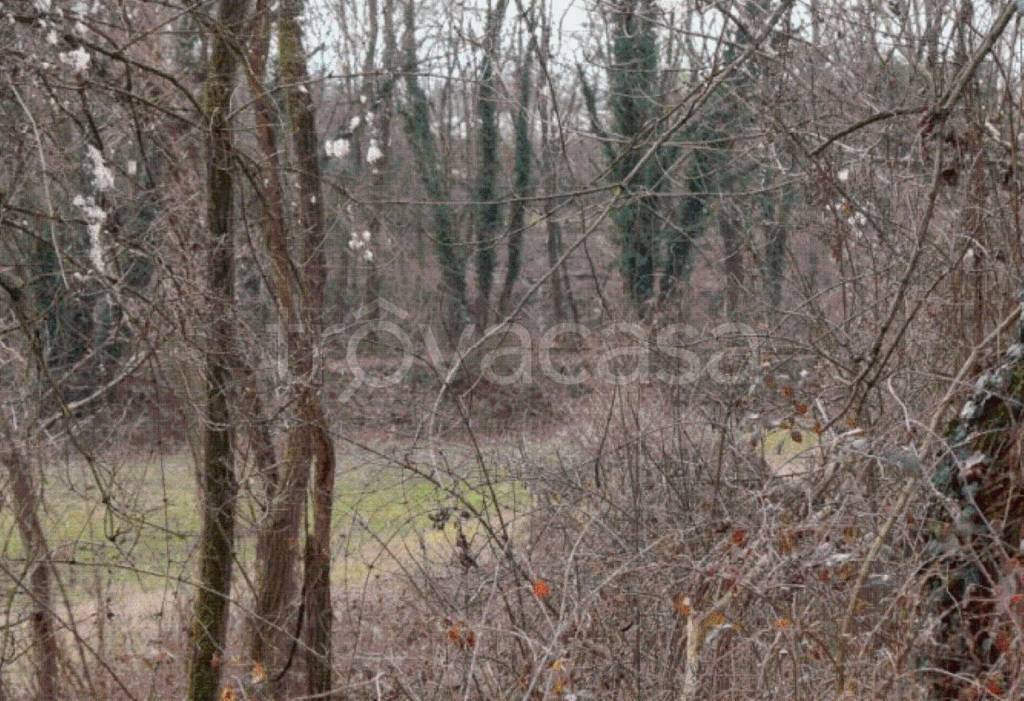 immagine annuncio 6 di 8