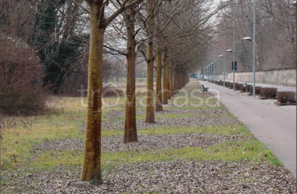 immagine annuncio 7 di 8