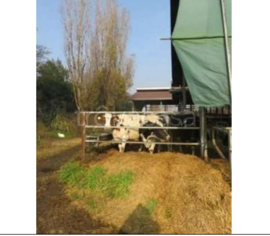 immagine annuncio 7 di 11