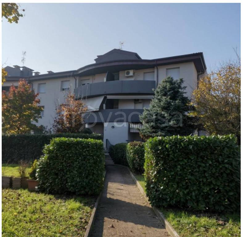 immagine annuncio 2 di 12