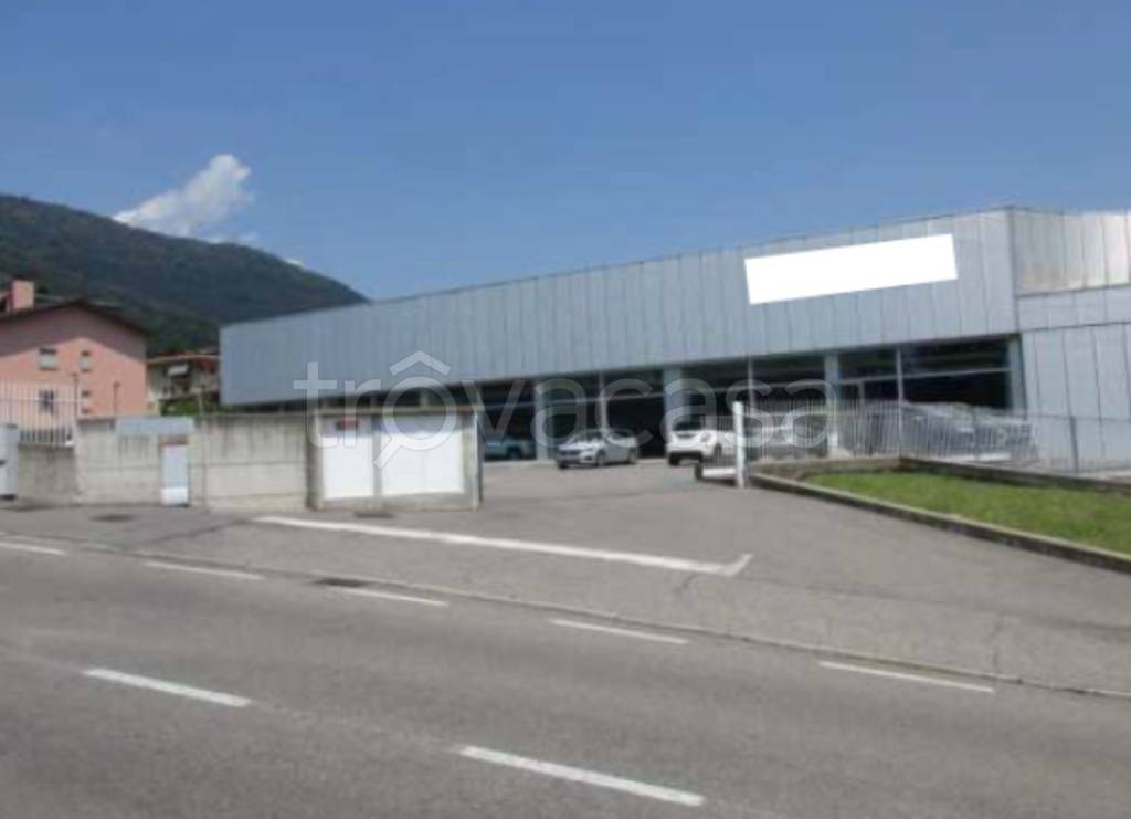 immagine annuncio 2 di 11