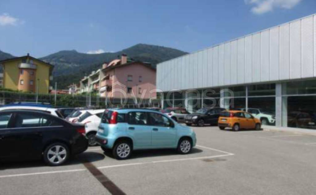 immagine annuncio 3 di 11